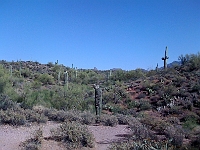 Pictures from iPhone 011